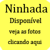 Ninhada canildoguealemao